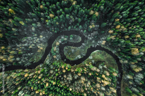 Forest with a winding river at sunset. Aerial photography with a drone.