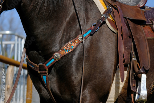 Brown horse in breast collar close up, western tack concept for horseback riding.