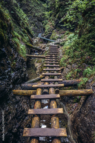 Wooden steps in Sucha Bela canyon in Slovak Paradise National Park, north part of Slovak Ore Mountains in Slovakia