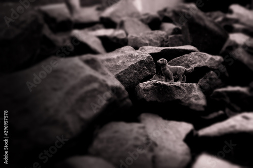 Mały stoi na skałach. 