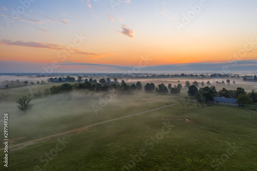 foggy sunrise over farmland