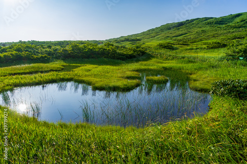 【山形県】日本百名山 夏の月山 弥陀ヶ原湿原