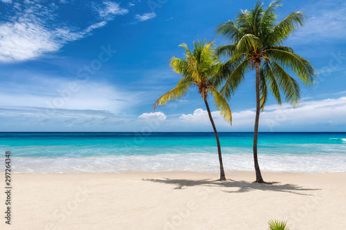 Tropical white sand beach with coco palms and the turquoise sea on Caribbean island.