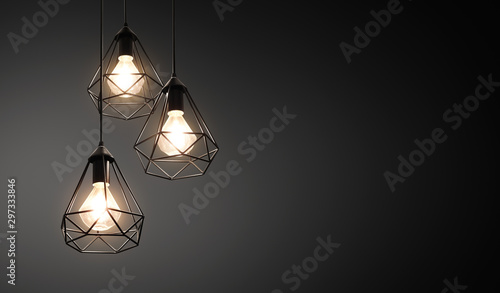 Decorative ceiling lights / hanging lights