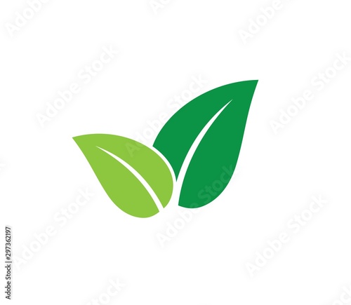 green leaves vector icon design on white background.