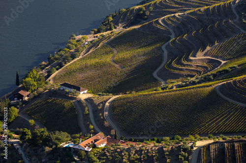 UNESCO World Heritage, the Douro Valley beautiful endless lines of Vineyards, in Sao Joao da Pesqueira, Viseu, Portugal. 