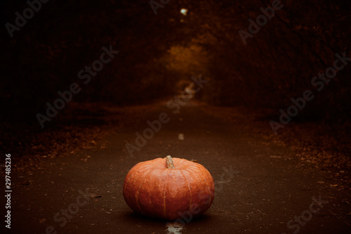 pumpkin halloween symbol