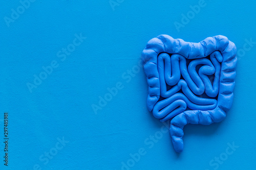 Intestines health. Guts on blue background top view copy space