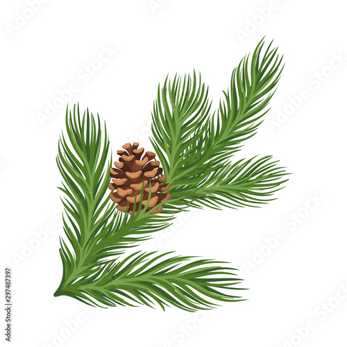 Lush larch branch with a ripe brown cone. Vector illustration.