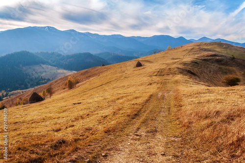 beautiful golden autumn in the mountains. rural road. natural background. autumn landscape