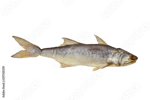 Fourfinger threadfin dried fish isolated on white background, salted fish
