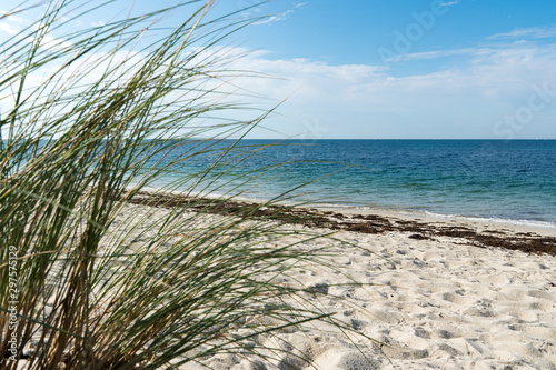 selective focus of an empty beach and calm ocean with grasses in the foreground