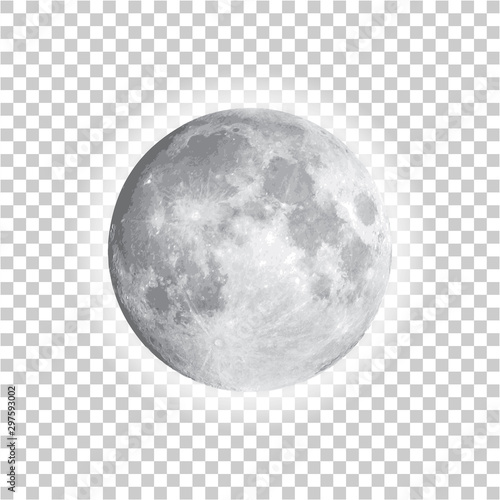 Full moon isolated with background, vector