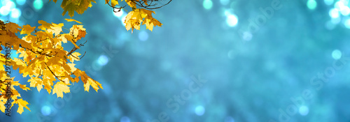 Decorative mysterious autumn banner decorated with branches with fall golden yellow maple leaves on fantasy background of autumnal foliage and shiny glowing bokeh, indian summer. Toned image.