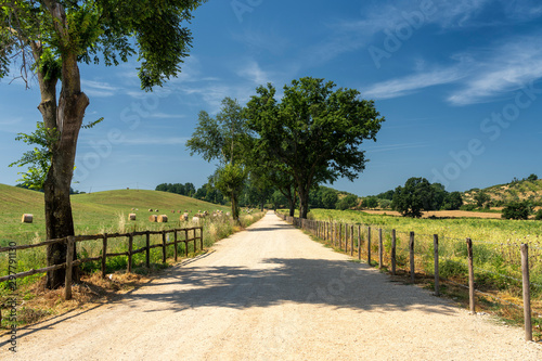 Rural landscape near Velletri at summer