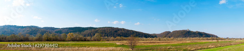panorama with distant forest and churches on a beautiful sunny day