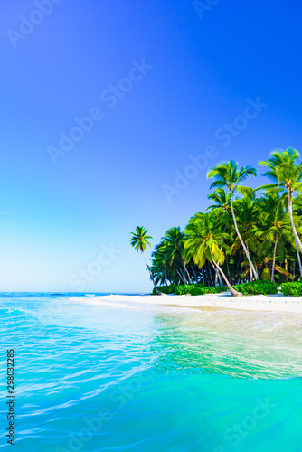 beautiful caribbean landscape with palm tree on the beach