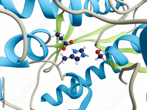 The active site of the enzyme acetylcholine esterase