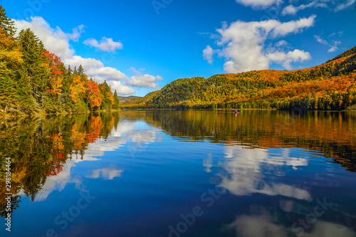 Autumn forest reflected in water.