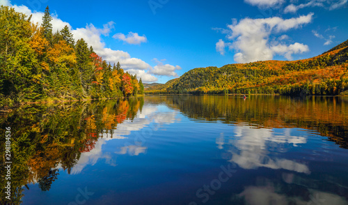 Panorama of a gorgeous forest in autumn, a scenic landscape with pleasant warm sunshine.