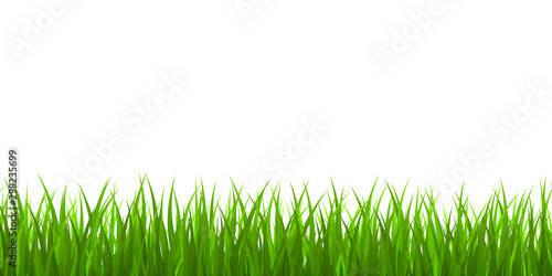 Fresh green grass border