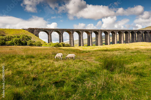  Famous Ribble Valley viaduct railway crossing seen in all its glory. Set in the heart of the Dales, a number of paths can be seen.