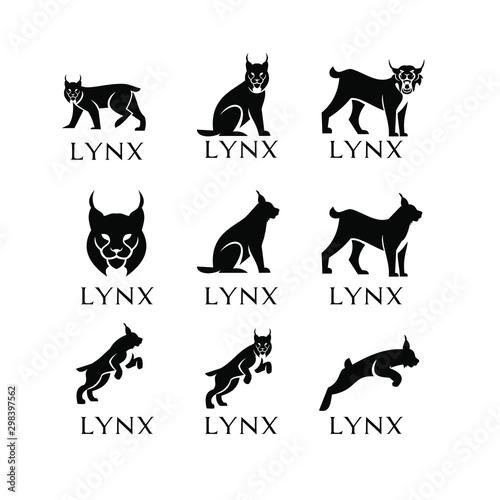 set lynx logo icon designs