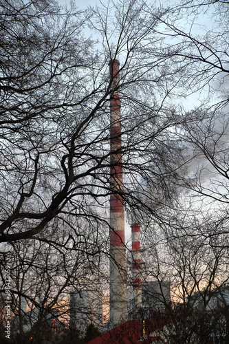 Czerwono-biały wysoki komin, obok taki sam, mniejszy, z unoszącym się z niego dymem, za gęstymi gałęziami drzewa, na tle szarego nieba