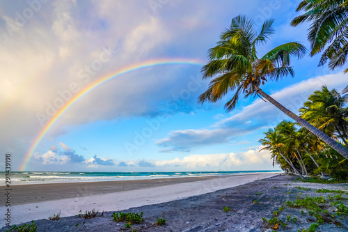 Rainbow on a beach with palm trees