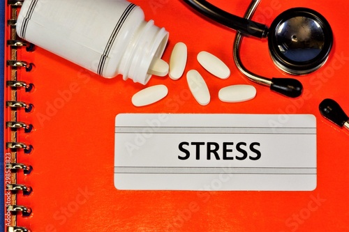 Stress is a set of nonspecific adaptive reactions of the organism to the impact of various negative or positive factors that change its homeostasis and the state of the nervous system.