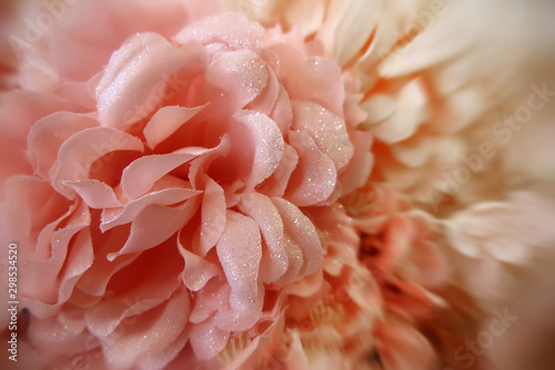 rosa Seidenblumen - pink silk blossoms