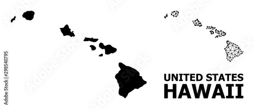 Solid and Mesh Map of Hawaii State