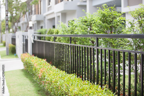 black fence with green tree