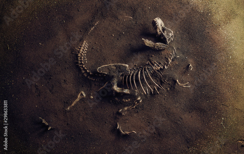 Dinosaur Fossil (Tyrannosaurus Rex) Found by Archaeologists