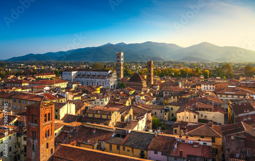 Lucca panoramic aerial view of city and San Martino Cathedral. Tuscany, Italy