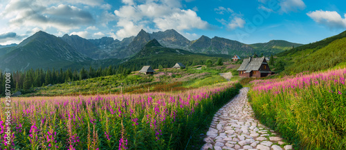górski krajobraz, panorama Tatr, Polska kolorowe kwiaty i domki w dolinie Gąsienicowej (Hala Gasienicowa), lato