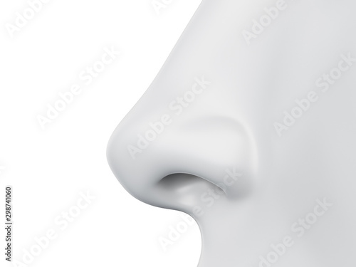 3d rendered medically accurate illustration of a grey abstract female nose