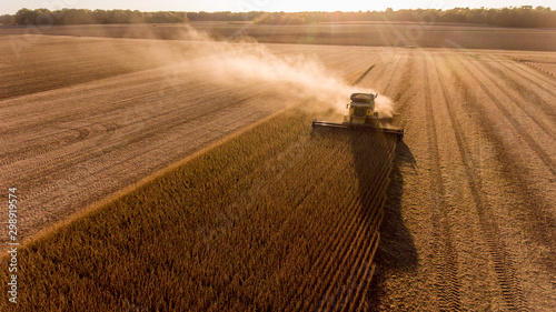 Farmer harvesting soybeans in Midwest
