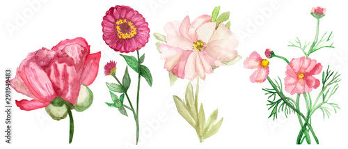 Watercolor hand painted nature romantic floral set composition with different four pion, zinnia and loach flowers with pink petals, green branch and leaves isolated on the white background collection