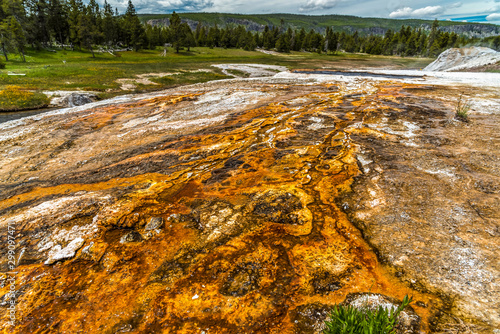 Hot springs and geyser basin landscape at Yellowstone National Park