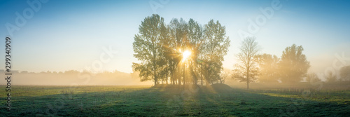 Die Sonne scheint durch Nebel und Bäume auf ein Feld - Panorama