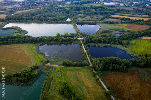 Bytom Żabie Doły stawy krajobraz enklawa ptaków