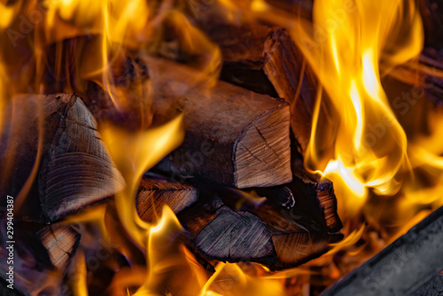 A tree burns in a fire, close-up burning logs for heat.