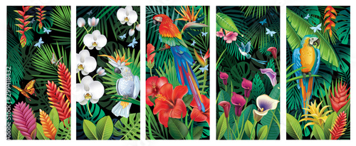 Set of Backgrounds with tropical jungle plants and birds