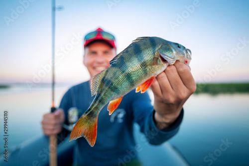 Young amateur angler holds perch fish (Perca fluviatilis) and smiles being on the lake