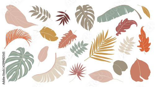 Set of abstract tropical leaves. Abstract botanical element collection with Earth tone color. Design for natural and floral background pattern, cards and packaging, cosmetics, spa, beauty care.