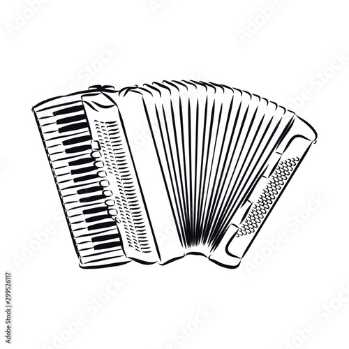 accordion isolated on white background