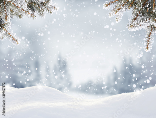 Snowfall in winter forest.Beautiful landscape with snow covered fir trees and snowdrifts.Merry Christmas and happy New Year greeting background with copy-space.Winter fairytale.