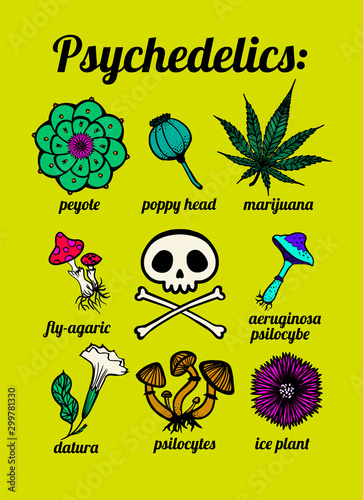 psychedelic plants: peyote, marijuana, mushrooms, psilocybin, skull, t-shirt print