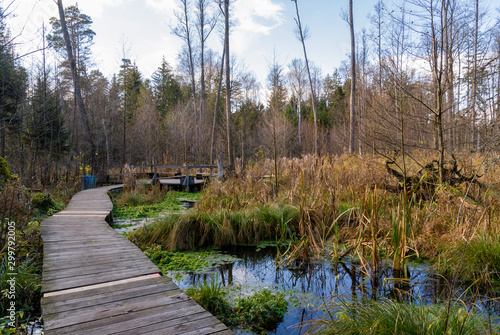 Rezerwat Krzemianka - Puszcza Knyszyńska, Podlasie, Polska